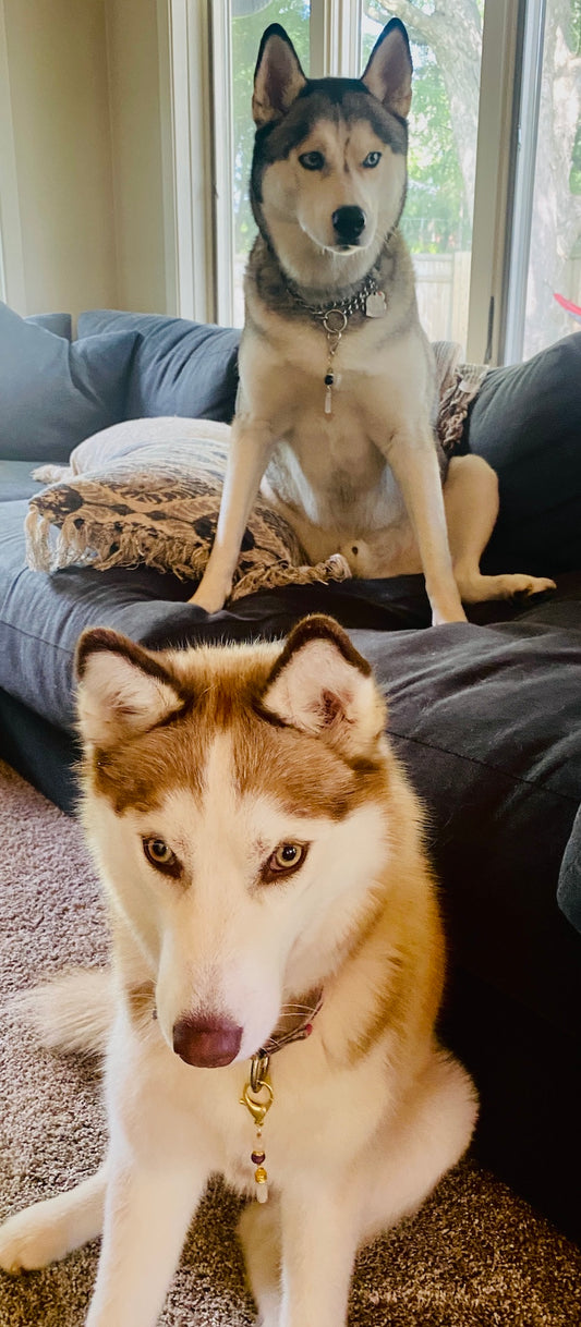 Cystals for Pets 