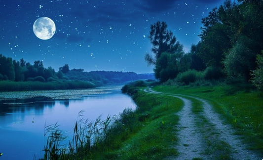 🌕 Harvest of Truth: Letting Go to Grow